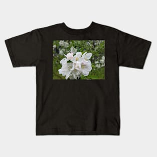 Wet White Tree Flowers 1 Kids T-Shirt